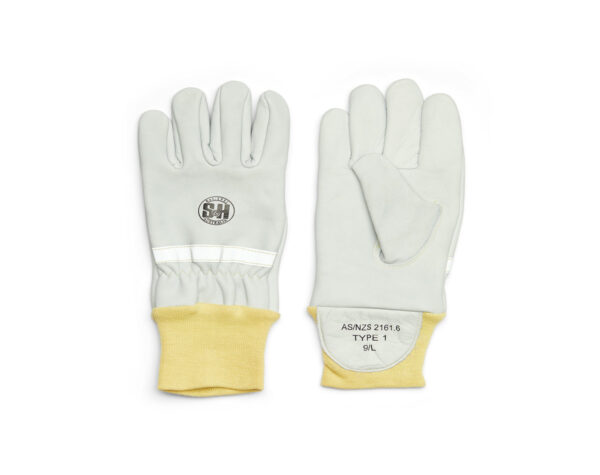gloves 1200x950